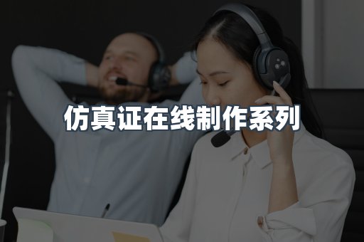仿真证在线制作系列